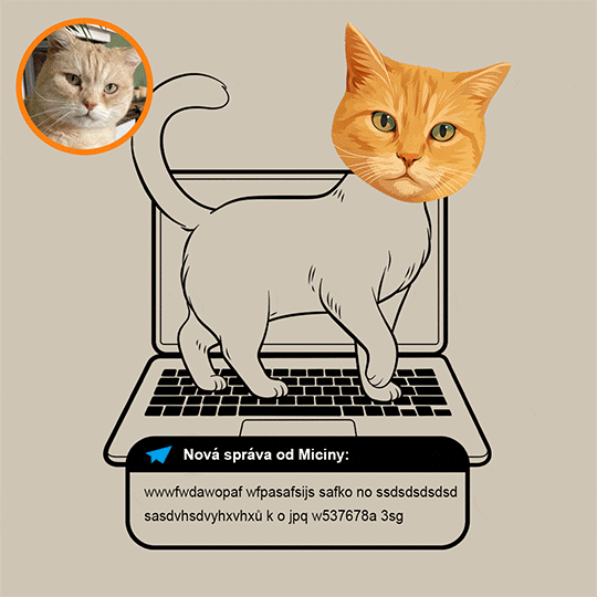 Mačka na klávesnici