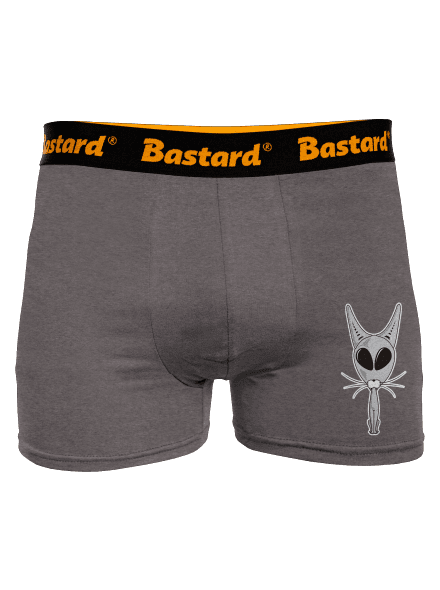 Mimozemská mačka boxerky Gray Melange