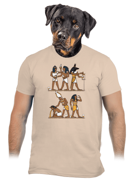 Egyptská párty pánske tričko Sand