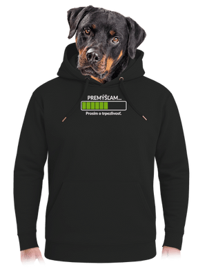 Premýšľam unisex mikina premium Dark Black