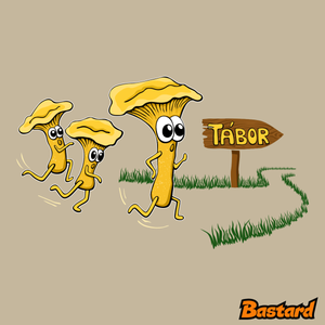 Beží líšky k táboru