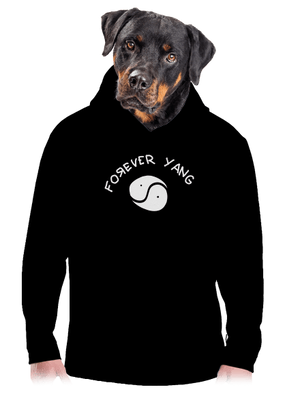 pánska mikina klokanka