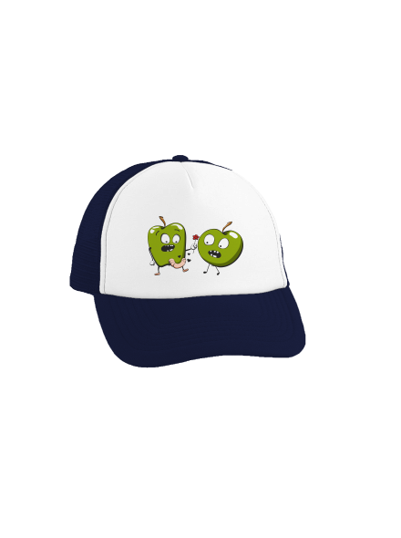 Jejda šiltovka truckerka French Navy cap
