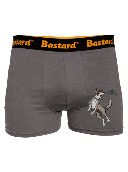 Lietajúci tanier boxerky Gray Melange