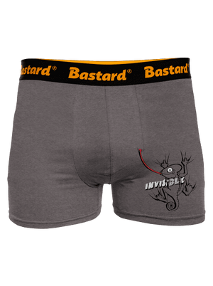 Invisible chameleon boxerky Gray Melange