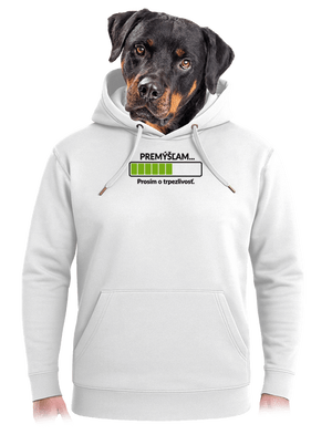 Premýšľam unisex mikina premium Snowwhite