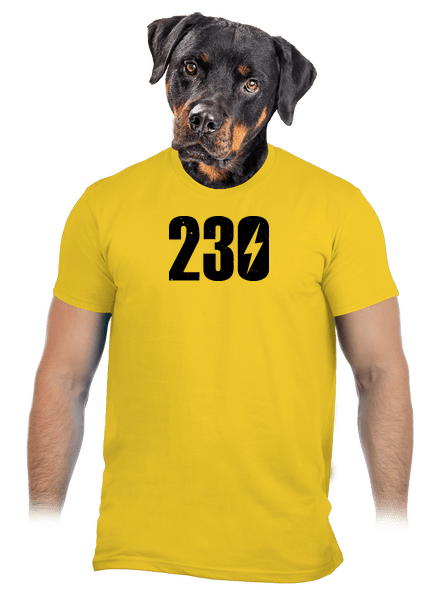 230 V pánske tričko Gold