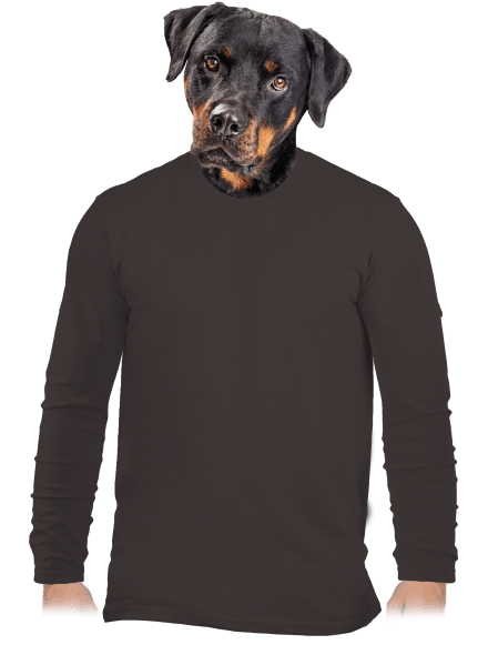 Bez potlače pánske dlhý rukáv Bear Brown