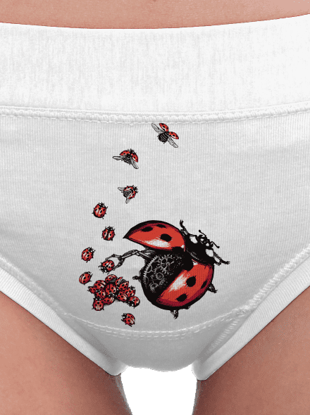 Ladybird Factory dámske nohavičky White