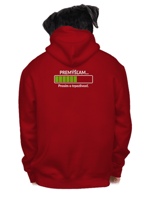 Premýšľam pánska mikina na zips Red