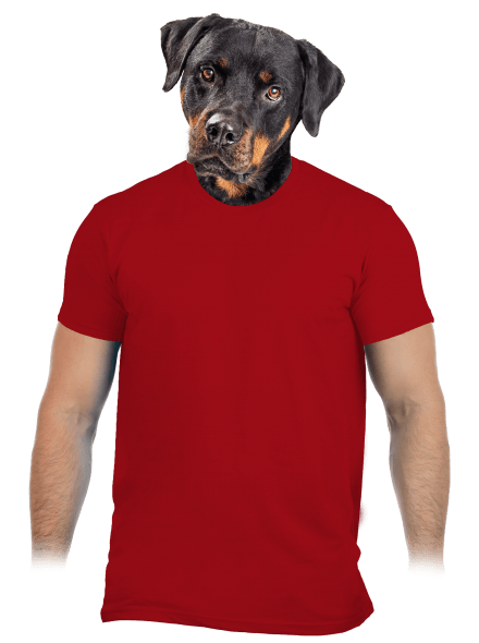 Bez potlače pánske tričko Red