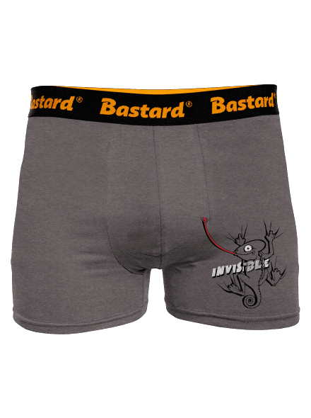 Invisible chameleon boxerky Gray Melange