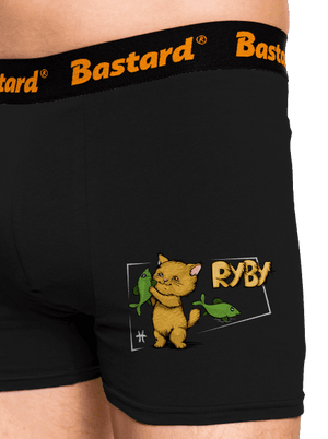 Mačací horoskop: Ryby boxerky Black