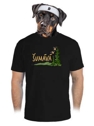 Šumává pánske športové tričko Black