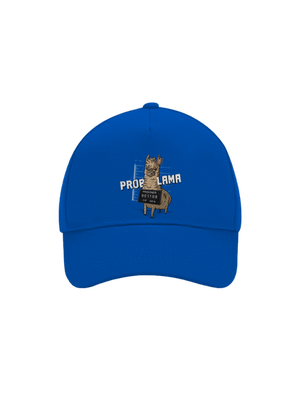 šiltovka baseballka