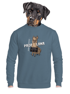 unisex mikina bez kapucne