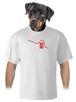 unisex tričko oversized