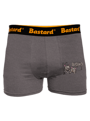 Mačací horoskop: Blíženci boxerky Gray Melange