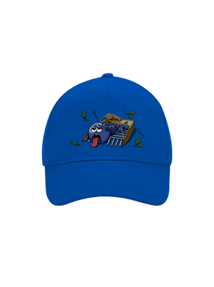 Čučoriedky šiltovka baseballka Bright Royal