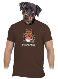 pánske tričko