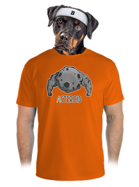 pánske športové tričko