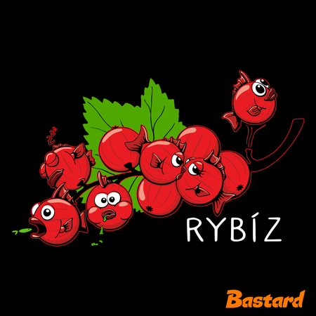 Rybíz