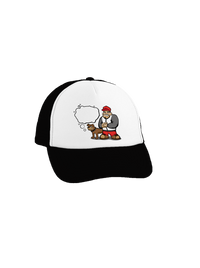 šiltovka