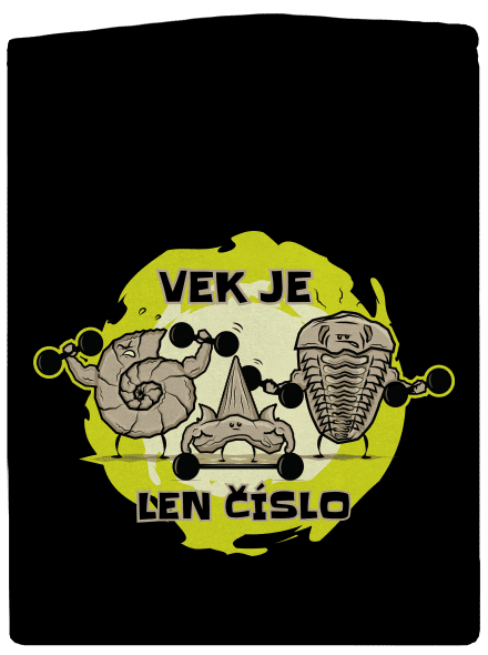 Vek je len číslo dámska mikina na zips Black