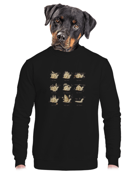 Sladký domov unisex mikina bez kapucne Black