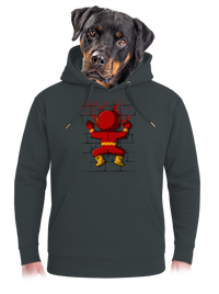 unisex mikina premium