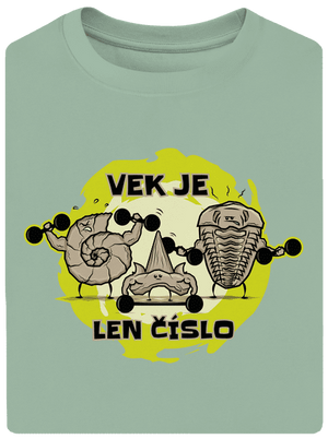 Vek je len číslo unisex tričko oversized Sage