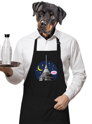 Ještěd zástera Black