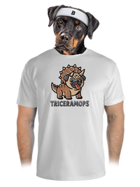 pánske športové tričko