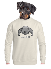 unisex mikina bez kapucne