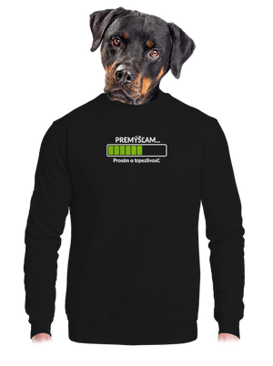 Premýšľam unisex mikina bez kapucne Black