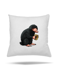 vankúš