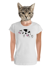 dámske tričko prémium