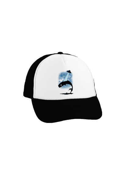 Big Fish šiltovka truckerka Black cap
