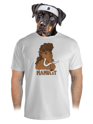 pánske športové tričko