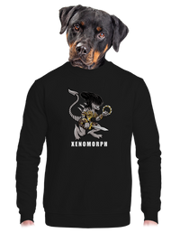 unisex mikina bez kapucne