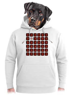 Pexeso unisex mikina premium Snowwhite