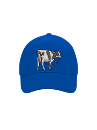 šiltovka baseballka
