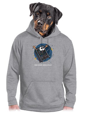 Padá server pánska mikina klokanka Light Melange