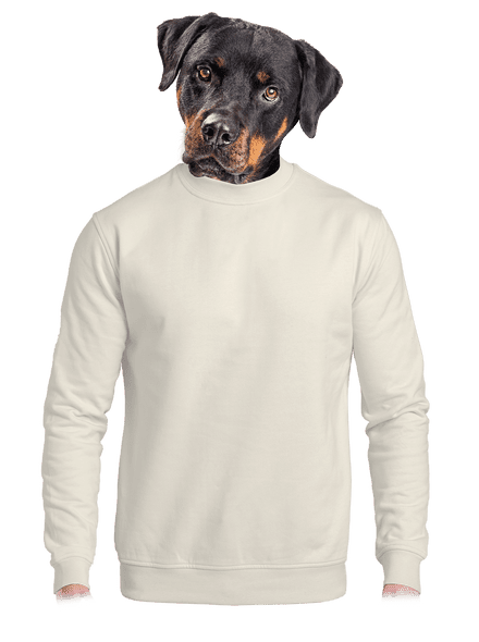 Bez potlače unisex mikina bez kapucne Off White