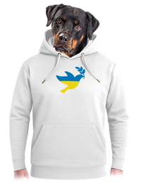 unisex mikina premium