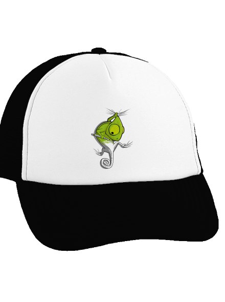 Zmizík šiltovka truckerka Black cap