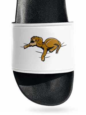 Spiaci pes šľapky White