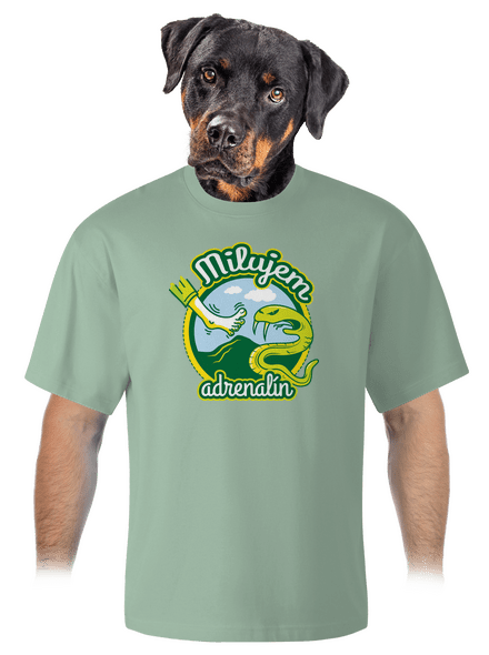 Milujem adrenalín unisex tričko oversized Sage