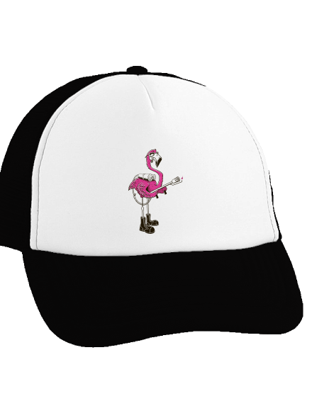 Plameniak šiltovka truckerka Black cap