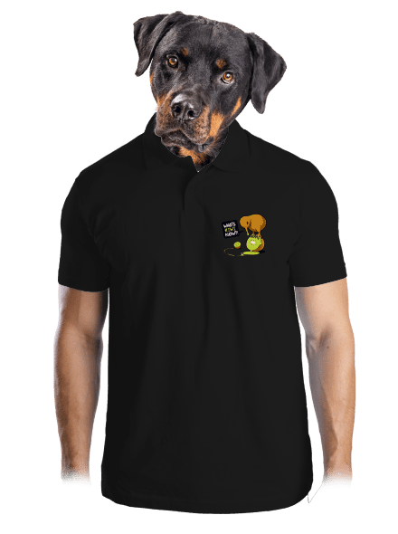 Kiwi pánska polokošeľa Black